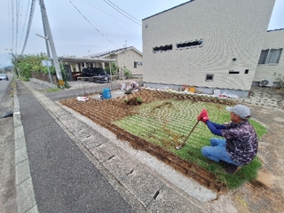 20250508224350516.jpg